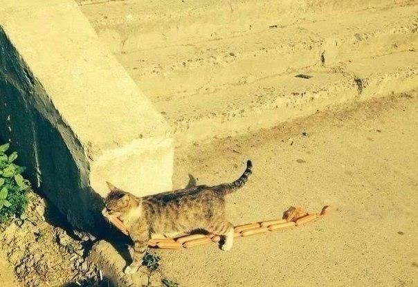  !