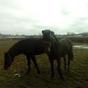 ���� ��������, ������ - ��������� 16 ������ 2017 � ������ ���� ����������