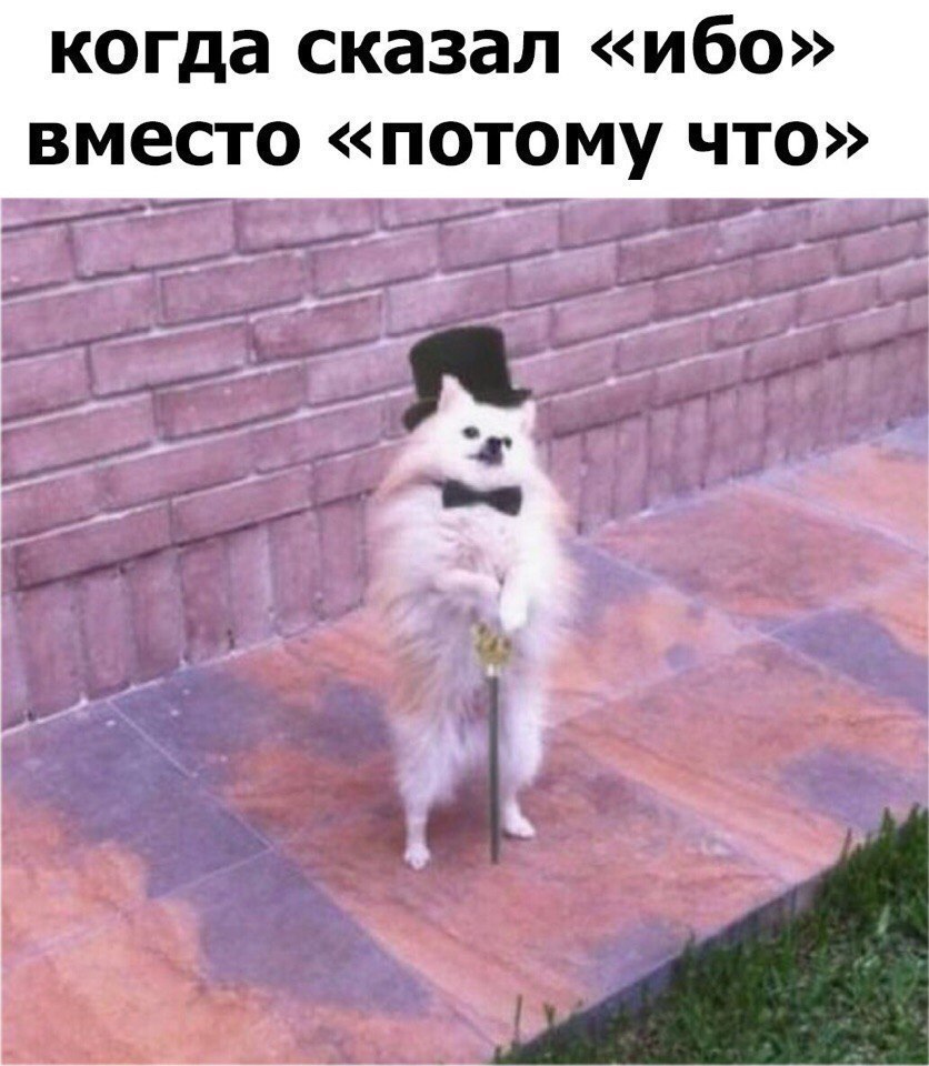  - 15  2017  13:44
