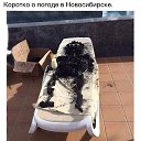 ���� ��������, ����, 48 ��� - ��������� 23 ���� 2017