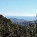  , , 60  -  11  2017     ,,01.04.17