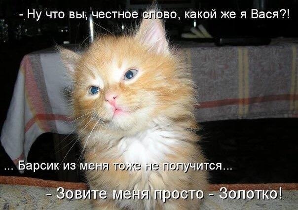    - 24  2017  03:45