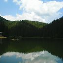  , , 52  -  26  2017    2017