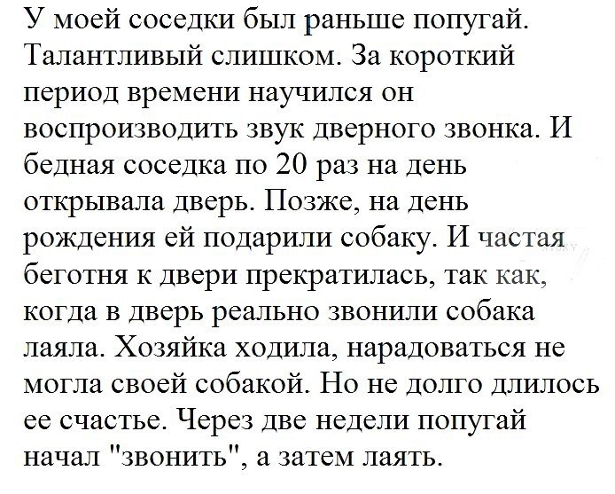    - 24  2017  11:03