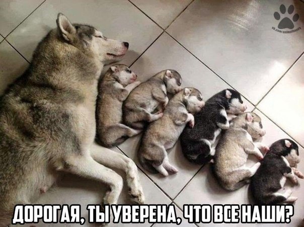 ��� �������� �������� - 11 ������ 2017 � 01:10