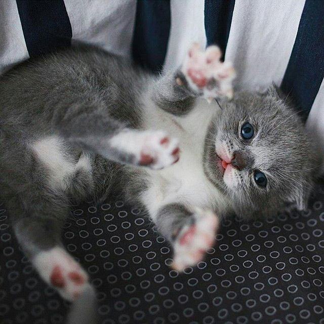 - ! :3