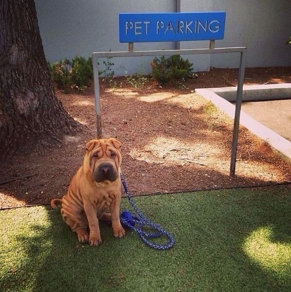 �������� ��� �����.#�������@ideas.life