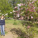 ���� ����, ������ - ��������� 6 ��� 2017 � ������ ���� ����������