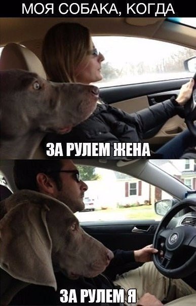    - 2  2017  03:47