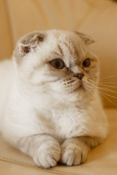       - 6  2017  16:58 - 6