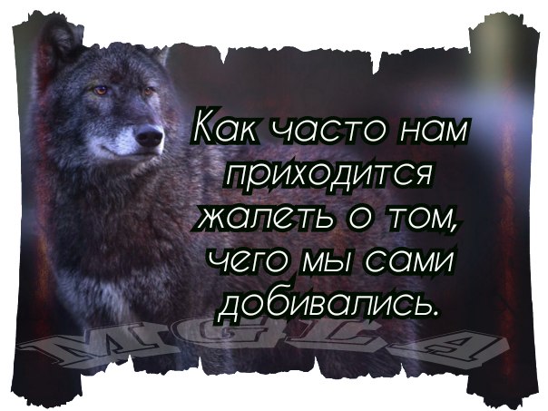    - 3  2017  19:35
