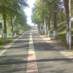 ���� ��������, ����������, 59 ��� - ��������� 12 ������ 2017