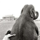 ���� �������, �����-���������, 52 ���� - ��������� 17 ������ 2017 � ������ ������ ��������