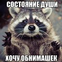 ���� ��������, ������ - ��������� 11 �������� 2017 � ������ ���� ����������