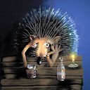 ���� ����, �������, 57 ��� - ��������� 23 ������ 2017 � ������ ������ ��������