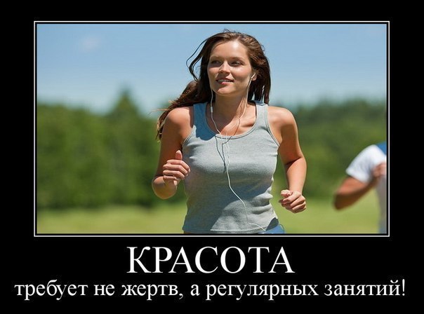   - 5  2017  18:03