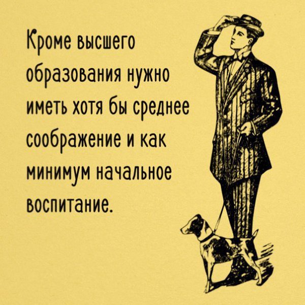 BEST | , ,  - 8  2017  20:18