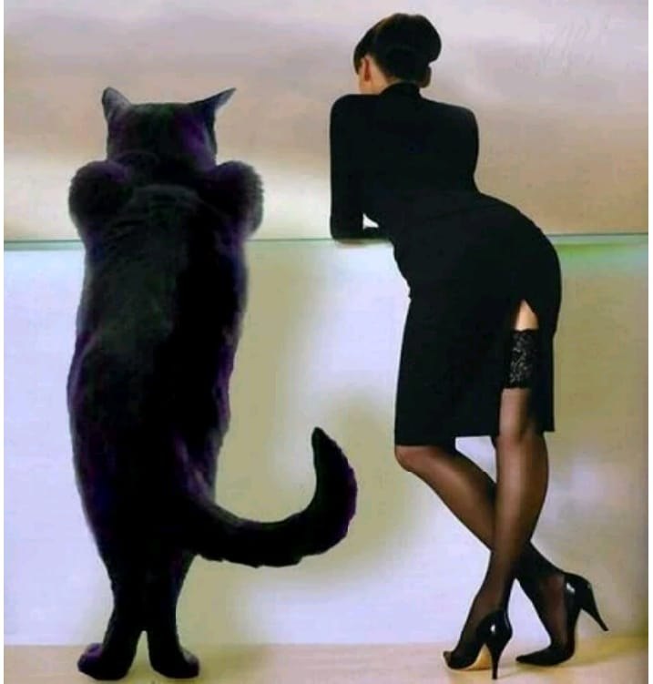 - , ,   !