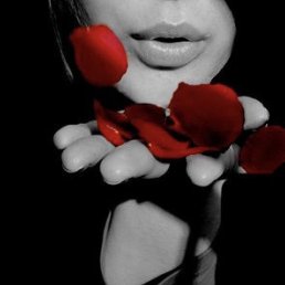 �����, �����������