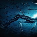  , -, 43  -  12  2017    