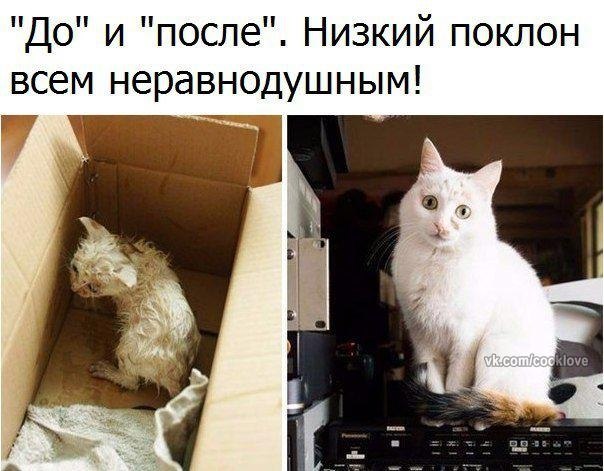   - 28  2017  10:03