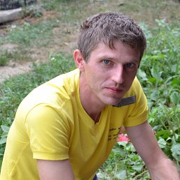 �������, ��������, 46 ���