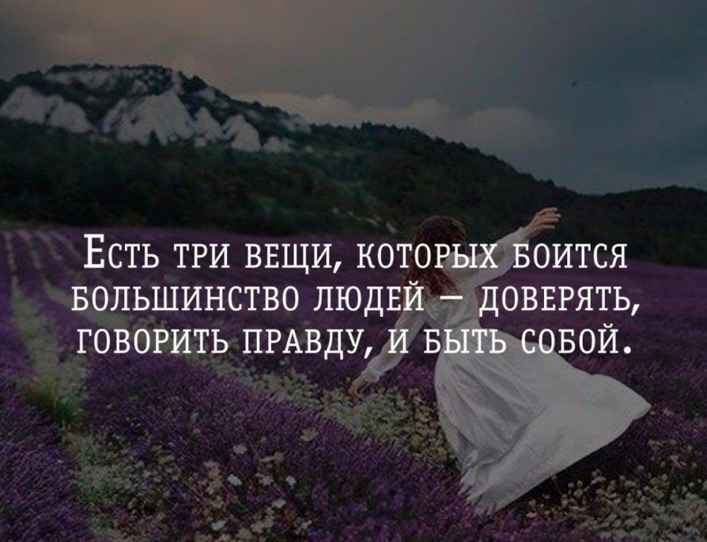......... - 2
