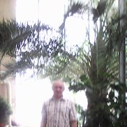 , 68 , 
