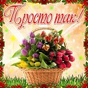 ���� �), ���� - ��������� 8 ��� 2017 � ������ �������� ��������