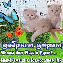 ���� �����, ��������� - ��������� 27 �������� 2017 � ������ ������ ��������
