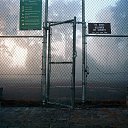 ���� ��������, �����������, 33 ���� - ��������� 10 ���� 2017