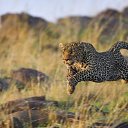 ���� ���������, ���������, 43 ���� - ��������� 3 ������ 2017 � ������ ������ ��������