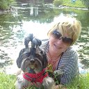 ���� ��������, ������ - ��������� 1 ������� 2017 � ������ ���� ����������