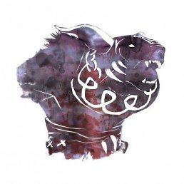 ���� ����, ������-��-����, 26 ��� - ��������� 27 �������� 2017