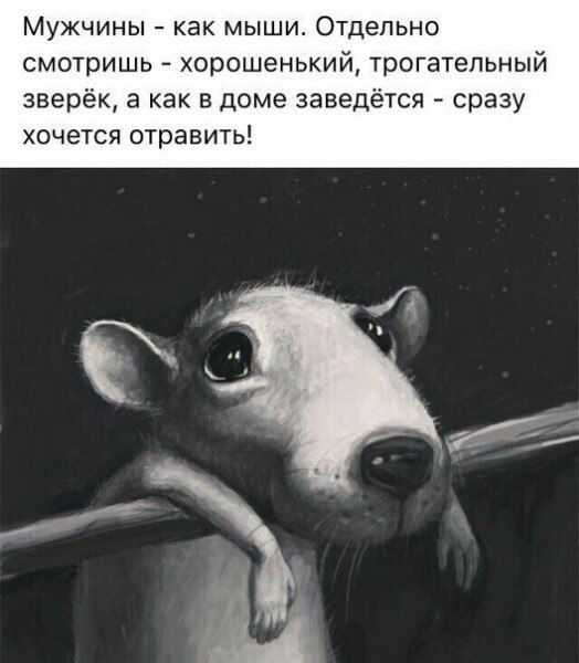    |   - 29  2017  13:16