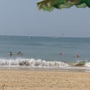 ���� ����� �������, ������-��-����, 49 ��� - ��������� 12 ������ 2017 � ������ ���� ����������