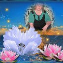 ���� ���������, ����, 57 ��� - ��������� 14 ������ 2017 � ������ ���� ����������