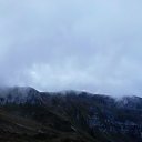  , , 51  -  5  2017    2017