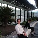 ���� �������, ����������� - ��������� 1 ������ 2017 � ������ ���� ����������