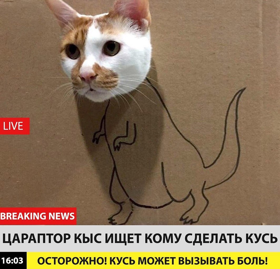  !  !