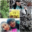 ���� �����, ������, 50 ��� - ��������� 21 ������ 2017 � ������ ���� ����������