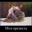  Andrey,  -  1  2017    