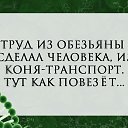 ���� �����, ������� - ��������� 22 ��� 2017 � ������ ����