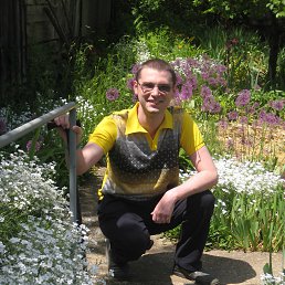 �������, ����������, 41 ���