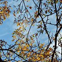  , , 60  -  1  2017   , ,29.10.17.