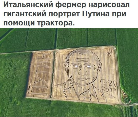    ר! - 10  2017  11:31