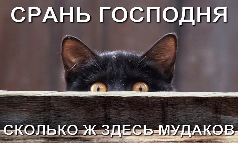  ... - 28  2017  18:07