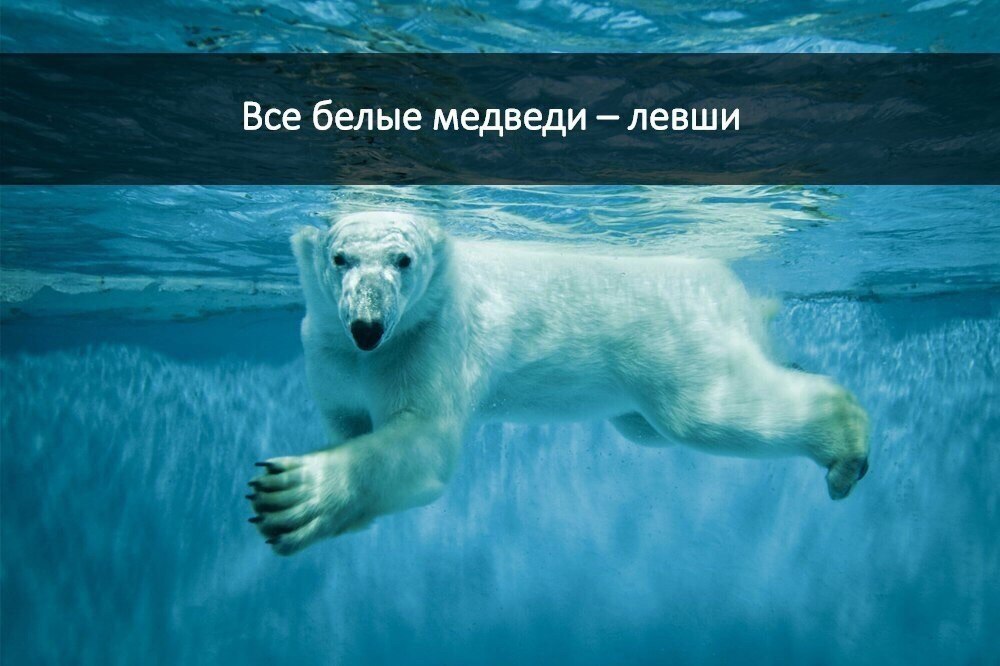   :    - 26  2017  17:23