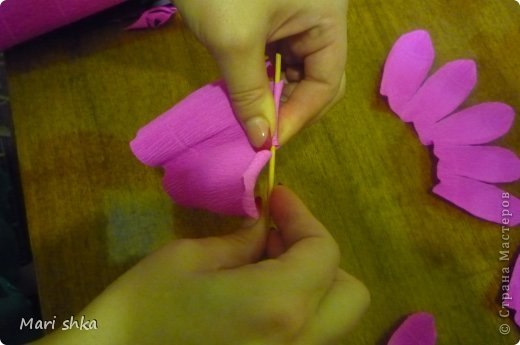 Воздушные экспресс-розы из гофробумаги и конфет - 6