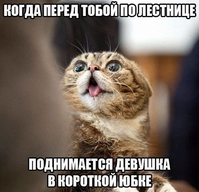   - 21  2017  14:52